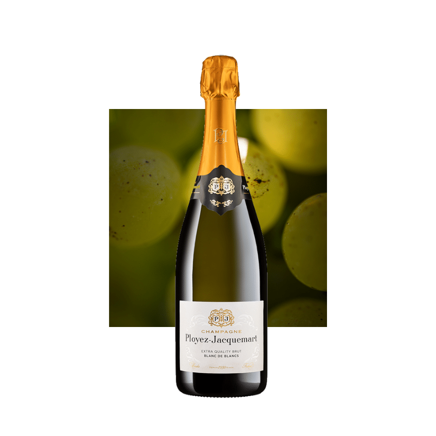 PJ_extra-quality-brut-blanc-de-blancs_site